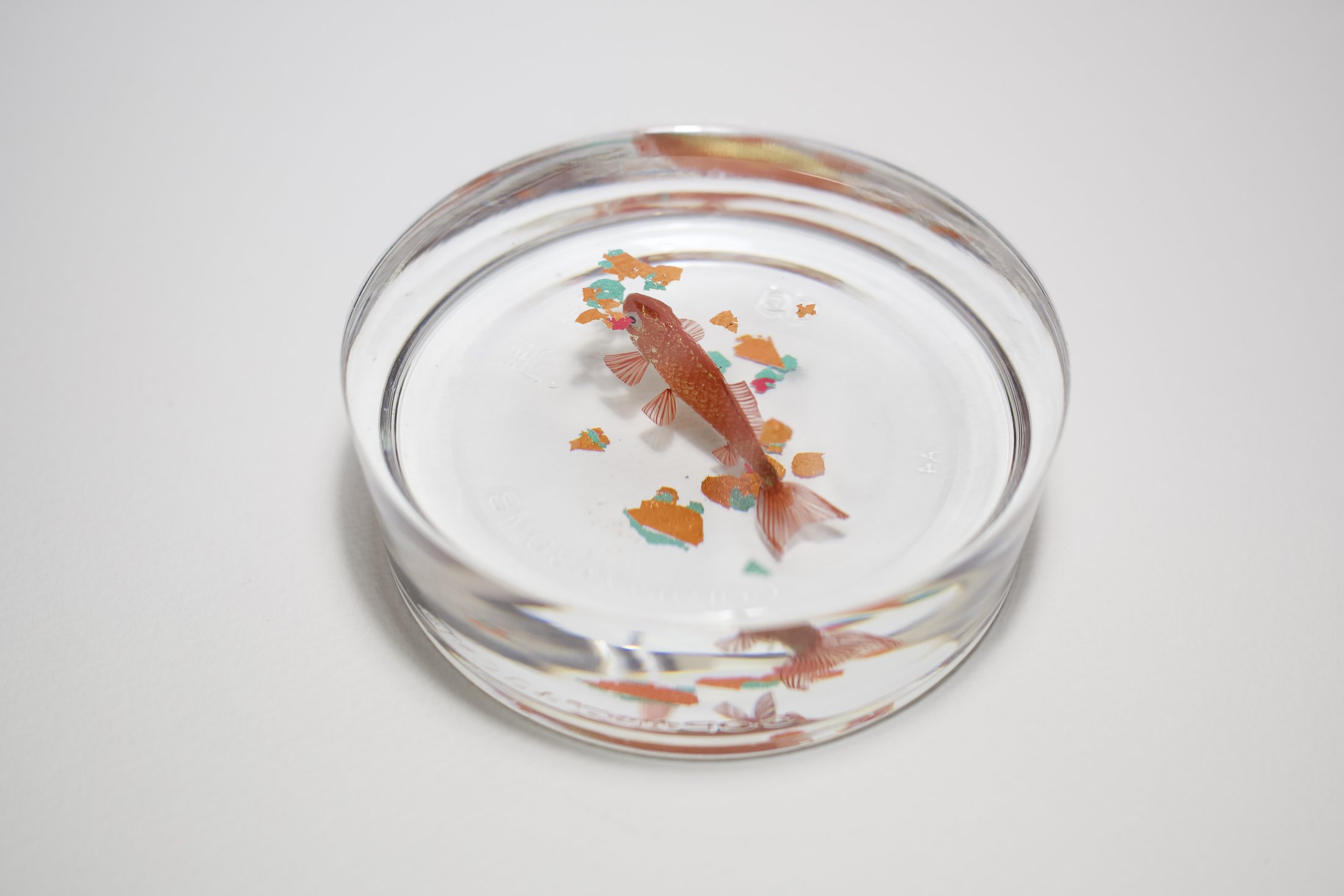 鋳金で制作した金魚作品 — 紙片とともに | 河﨑海斗
